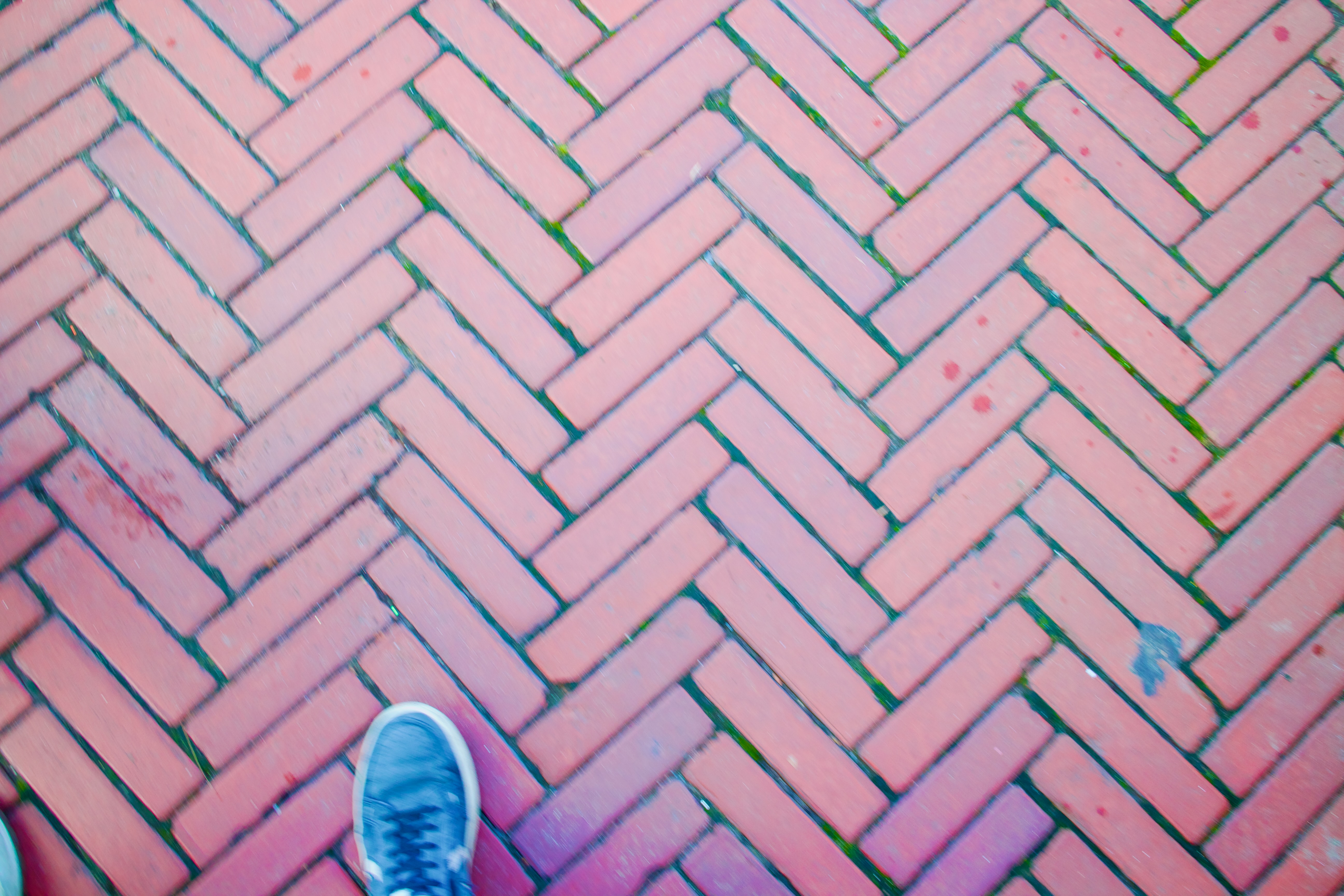 Brick Walkway